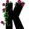 kim angilere