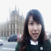 Wenjing Li