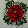 Rahul Kishore