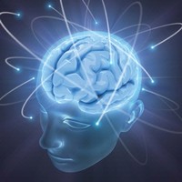 Cognitive Wellness Centers