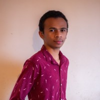 Fanomezantsoa Michaël RAFALIMANANA