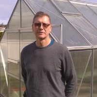 Tore Bengtsson