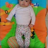 Trọng Hoa
