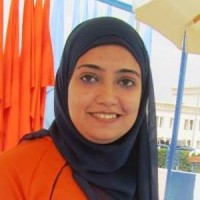 Nour M. Ibrahim