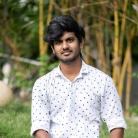 Hariharan Amirthavel