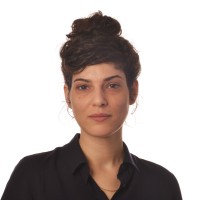 Shlomit Ariel