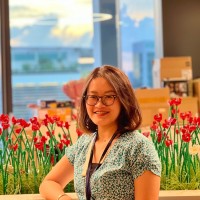 Vi Phan