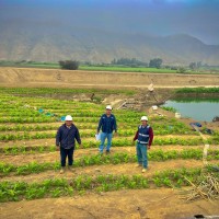 Jhonatan Panduro Porfirio