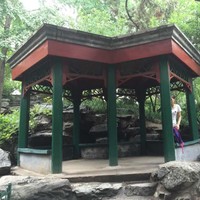 陈传霞