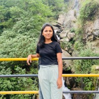 Minakshi Borkar
