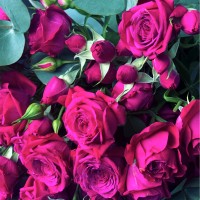 Noor Alkaff