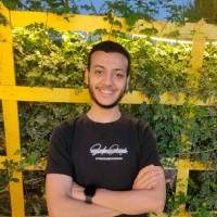 Elsayed ElShafey