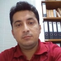 Muhammed Naseem Khilji