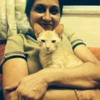 Mita Mehta
