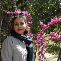 Zahra Noruzi
