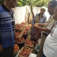 Yusuf Hasibuan