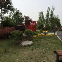张新玉