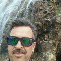 mehrzad kamali