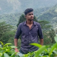 Harikrishna Hari