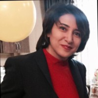 Farzaneh Beigi, Phd