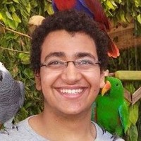 Amr Nasr