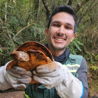 Gustavo Vieira Antonino