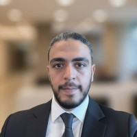 Mohamed Abdelhamid