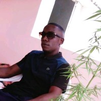 Andy Nourly