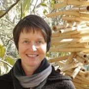 Lee Ann Dransfield