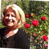 Terri Rimer