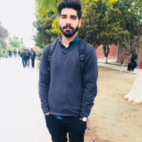 Adeel Mushtaq