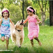 Godrej Woodland Plots