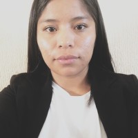 Marisol Campos Albino