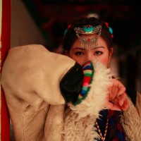 yinyin wang