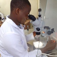 Vincent Ndolo