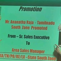 Ananth Raja