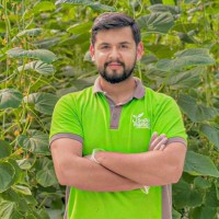 KHIZER ALI
