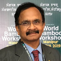 T.P. Subramony