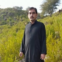 Gul Nazir