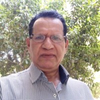 Hamid Hussein