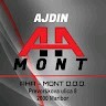 Ajdin Ahmic