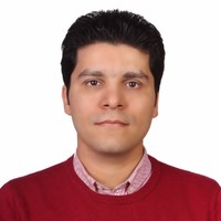 Hadi Mohammadi Bajgiran