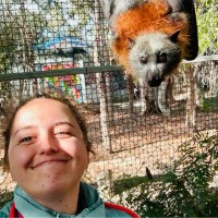 Arin Wildmann
