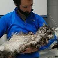 Manuel Rios Fernandez