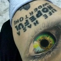 Never Look Back
