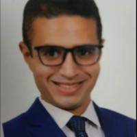 Mina Fahmy