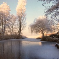 Bram van der Boon