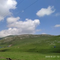 Наиля Курбанова