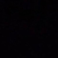 Derek Swanson-willis