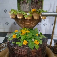 Ravi Tamboli